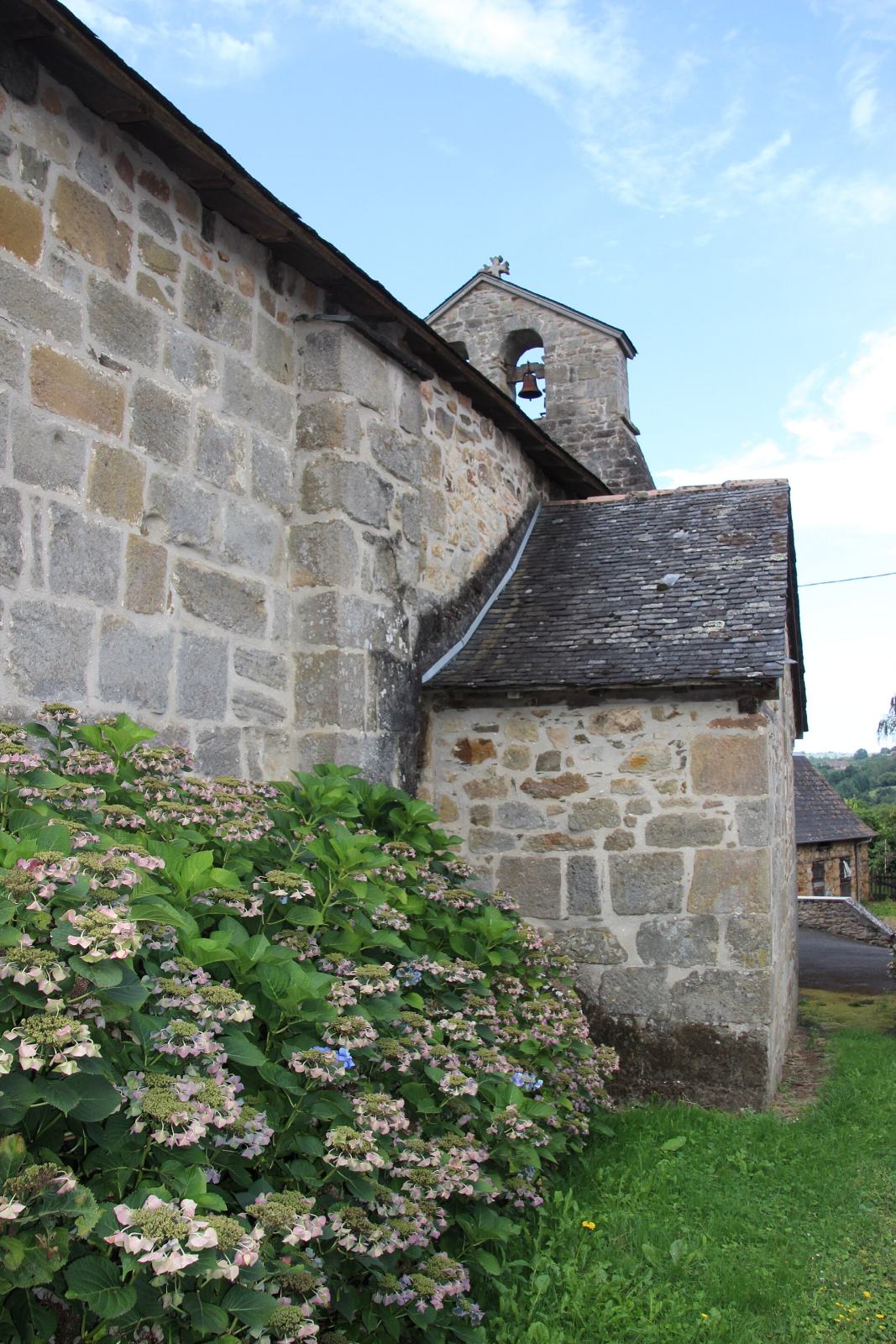 Photo de Lascaux