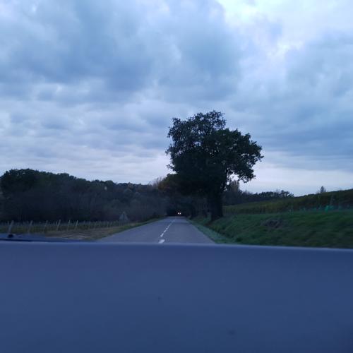 Photo de Lauraët