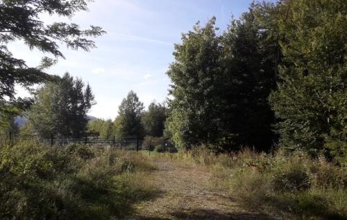 Photo de Lauw