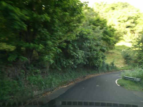 Photo de Morne-Vert