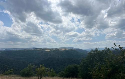 Photo de Lemps