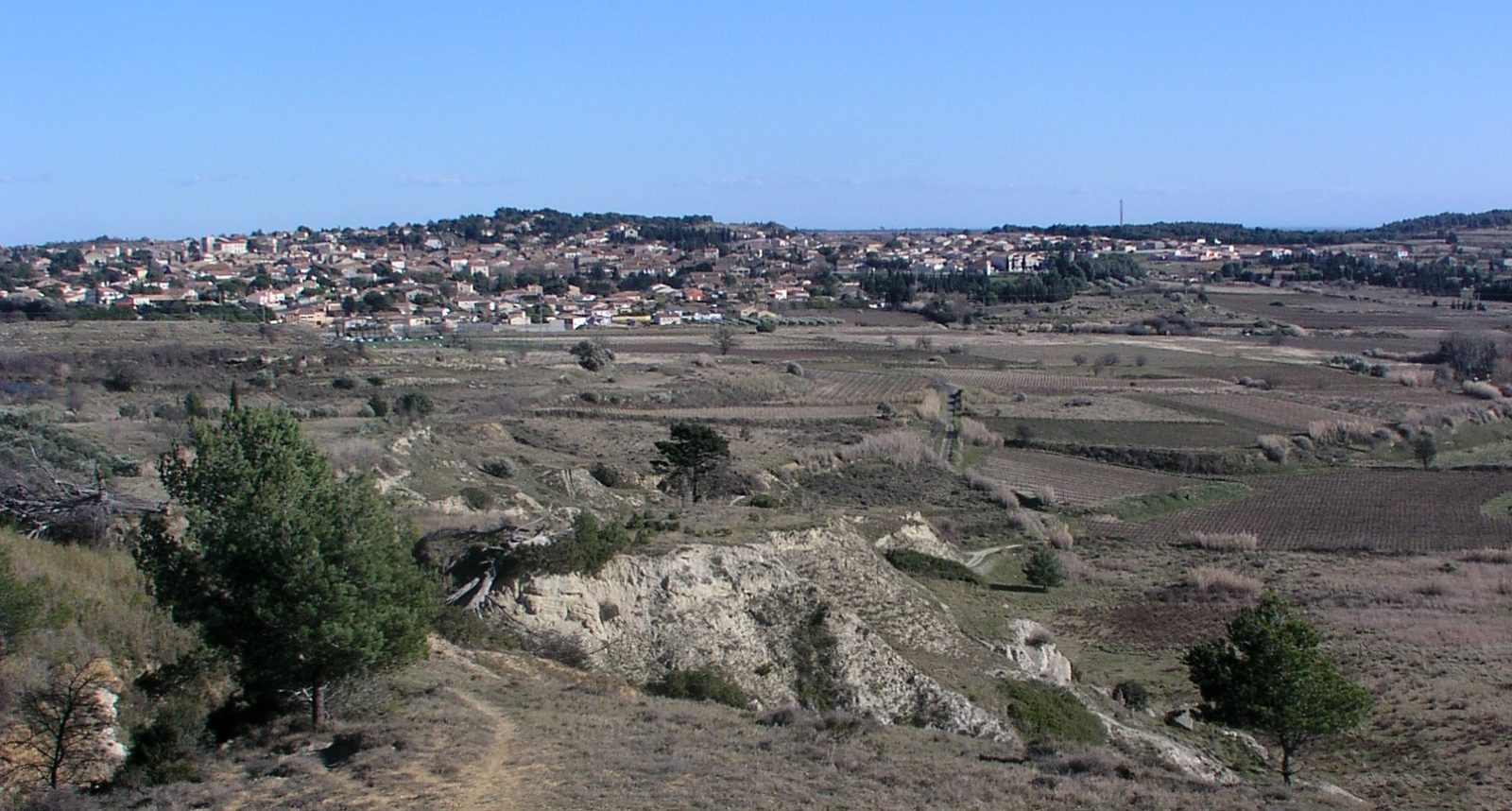 Photo de Lespignan