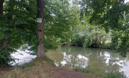 Photo de Lespiteau