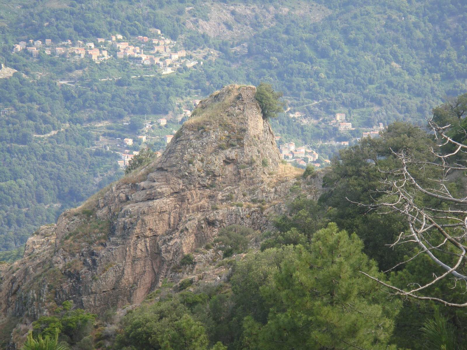 Photo de Letia
