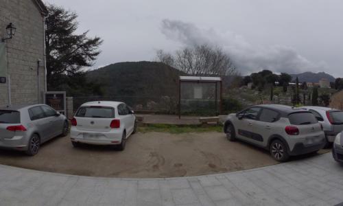Photo de Levie