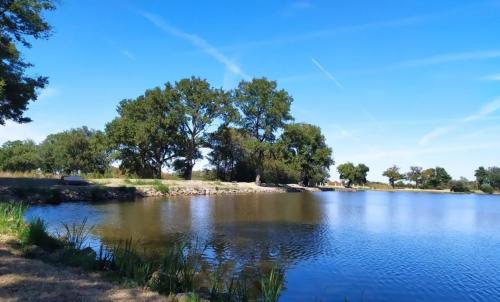 Photo de Lignac