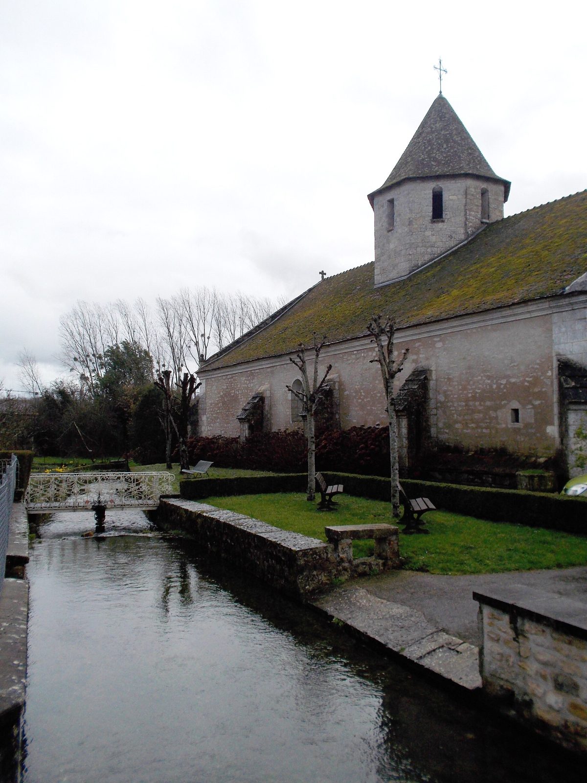 Photo de Lizant
