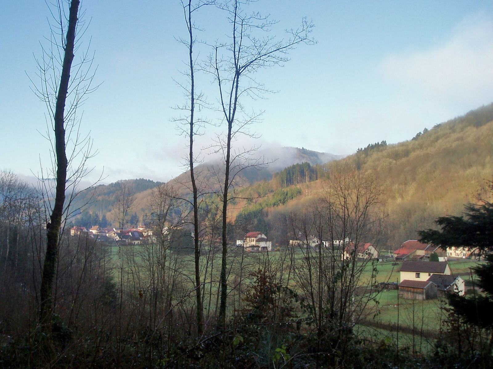 Photo de La Longine