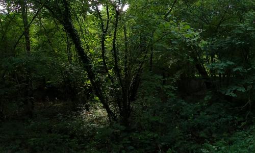 Photo de Louppy-le-Château
