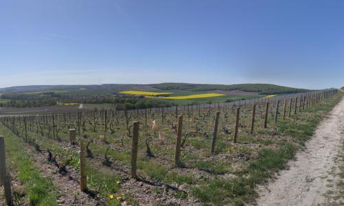 Photo de Louvois
