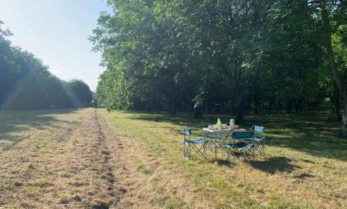 Photo de Louzac-Saint-André