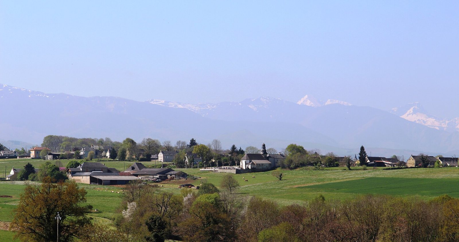 Photo de Luc