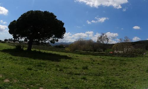 Photo de Lucciana