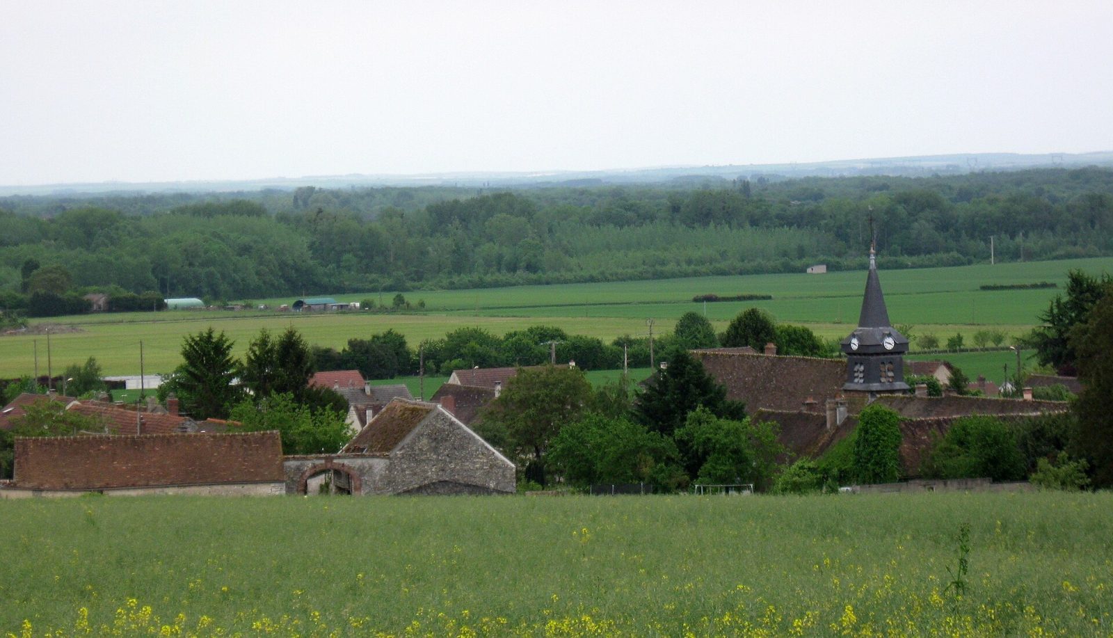 Photo de Luisetaines