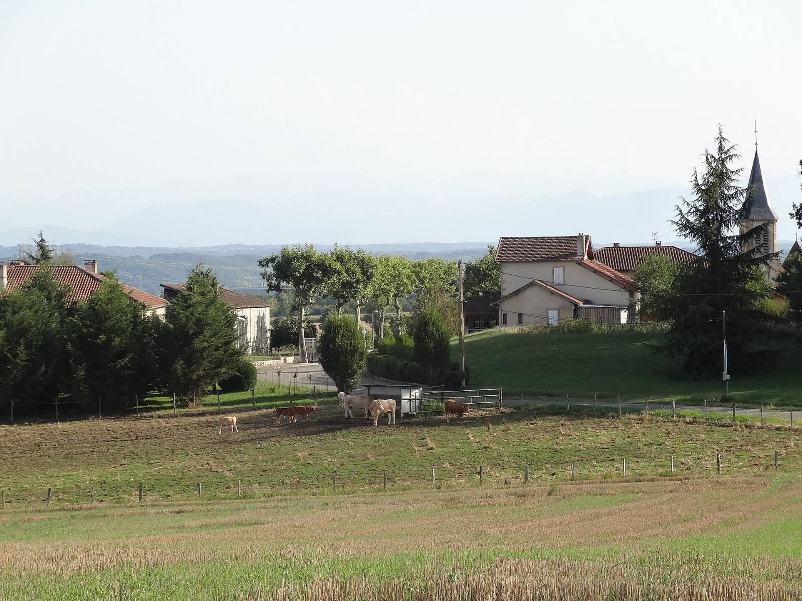 Photo de Lunax