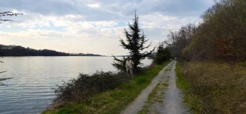 Photo de Luquet