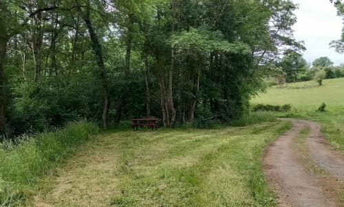 Photo de Lys-Saint-Georges