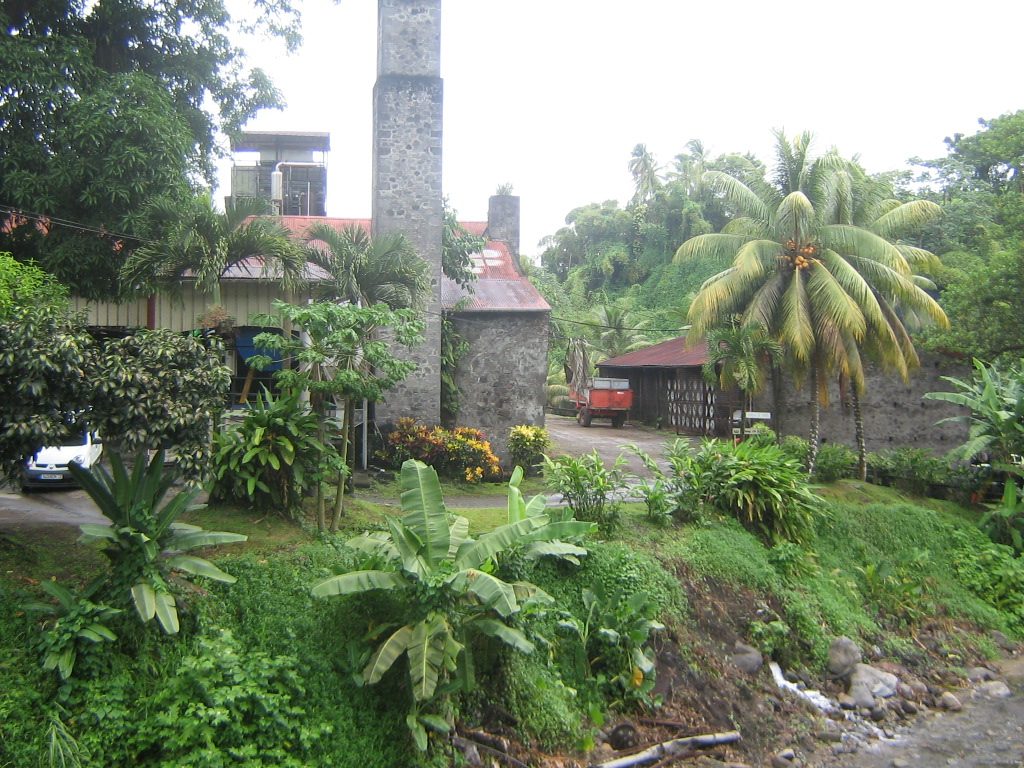 Photo de Macouba