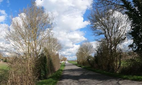Photo de Macqueville