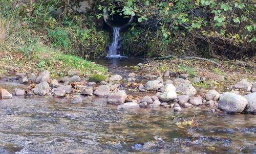 Photo de Mandailles-Saint-Julien