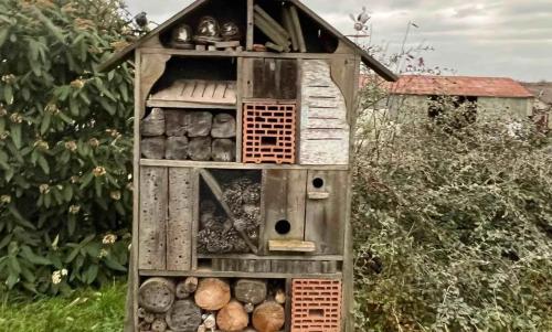 Photo de Mandres-sur-Vair
