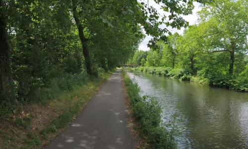 Photo de Mangonville