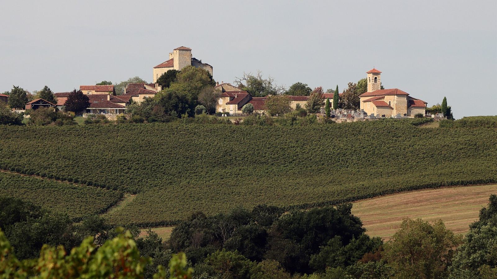 Photo de Mansencôme