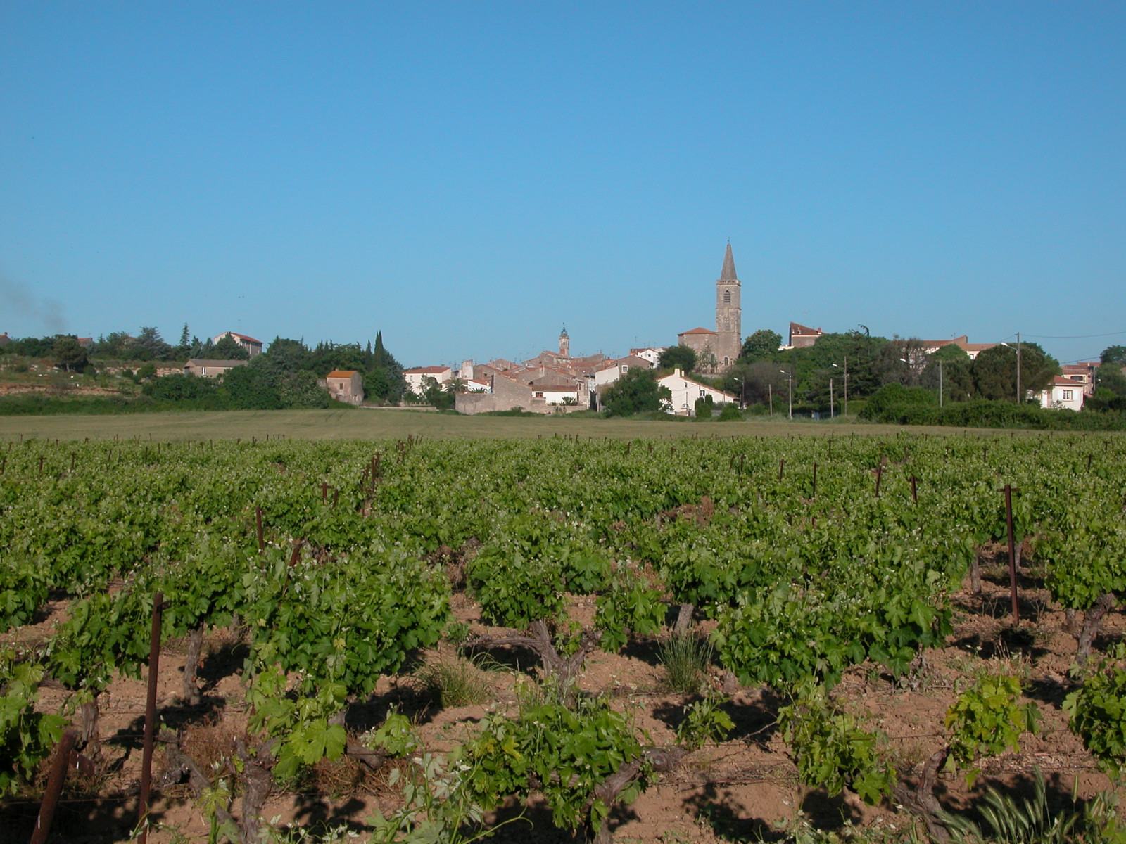 Photo de Maraussan