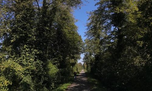 Photo de Marckolsheim