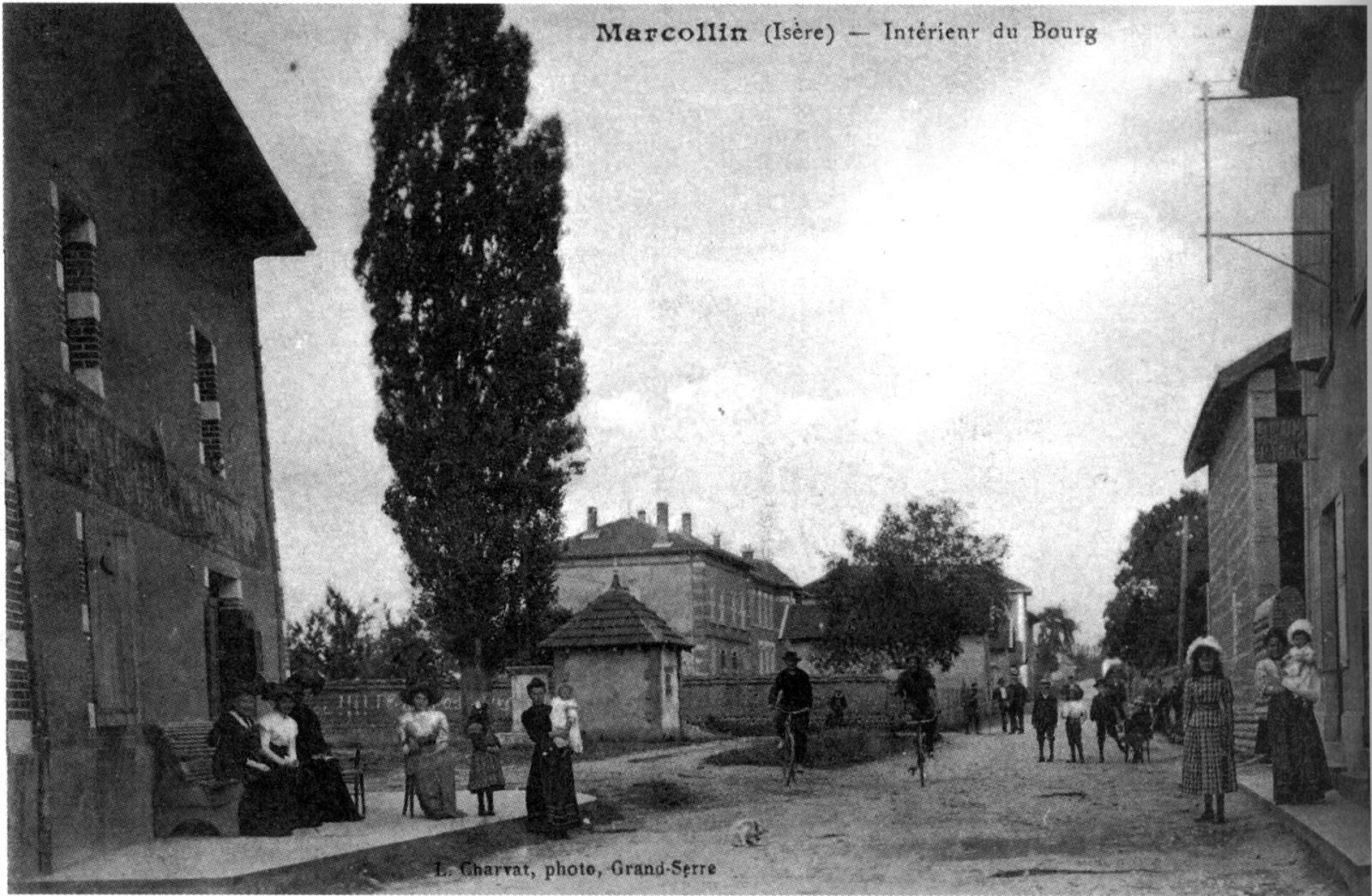 Photo de Marcollin