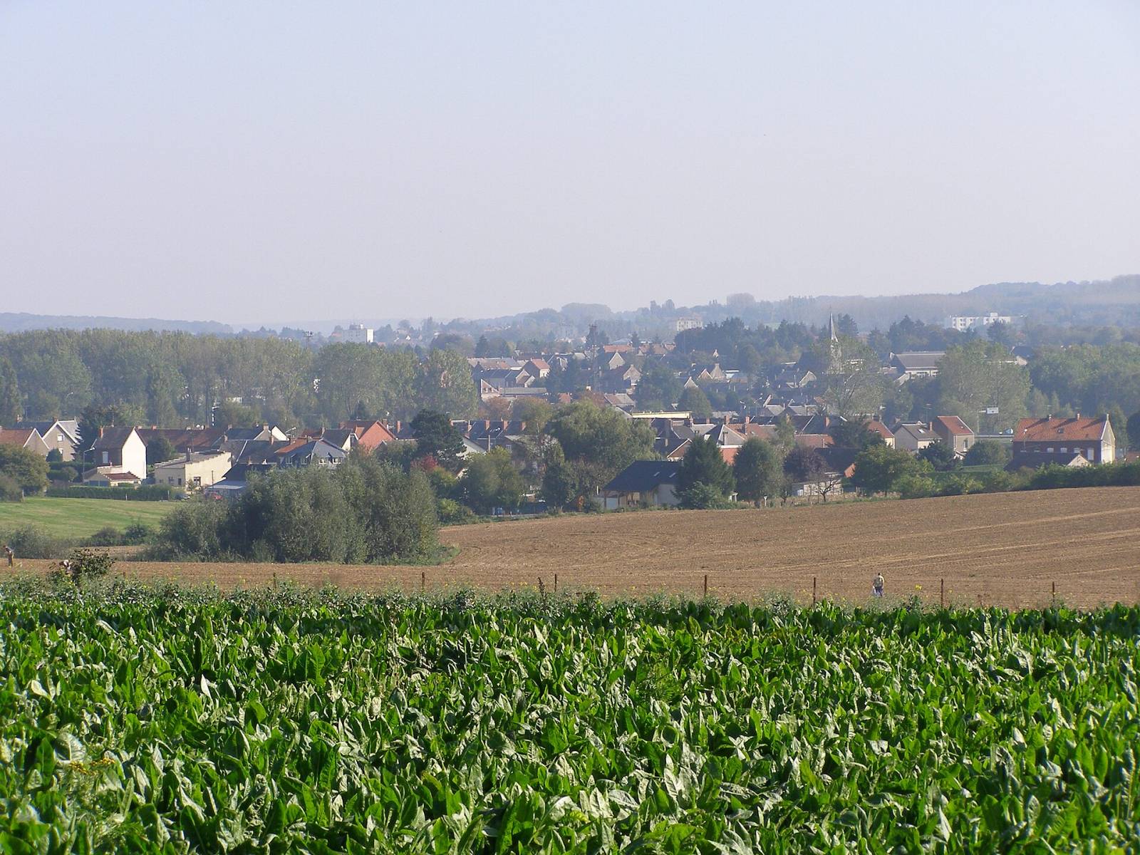 Photo de Marpent