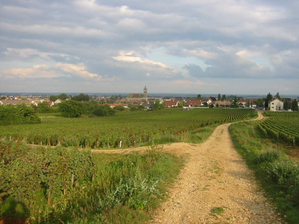 Photo de Marsannay-la-Côte