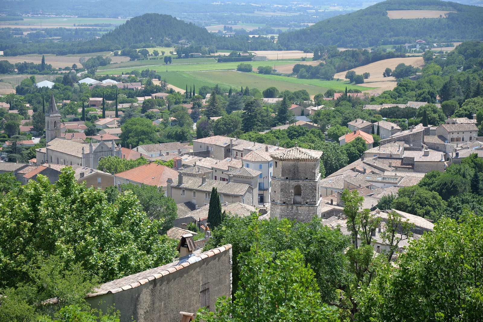 Photo de Marsanne