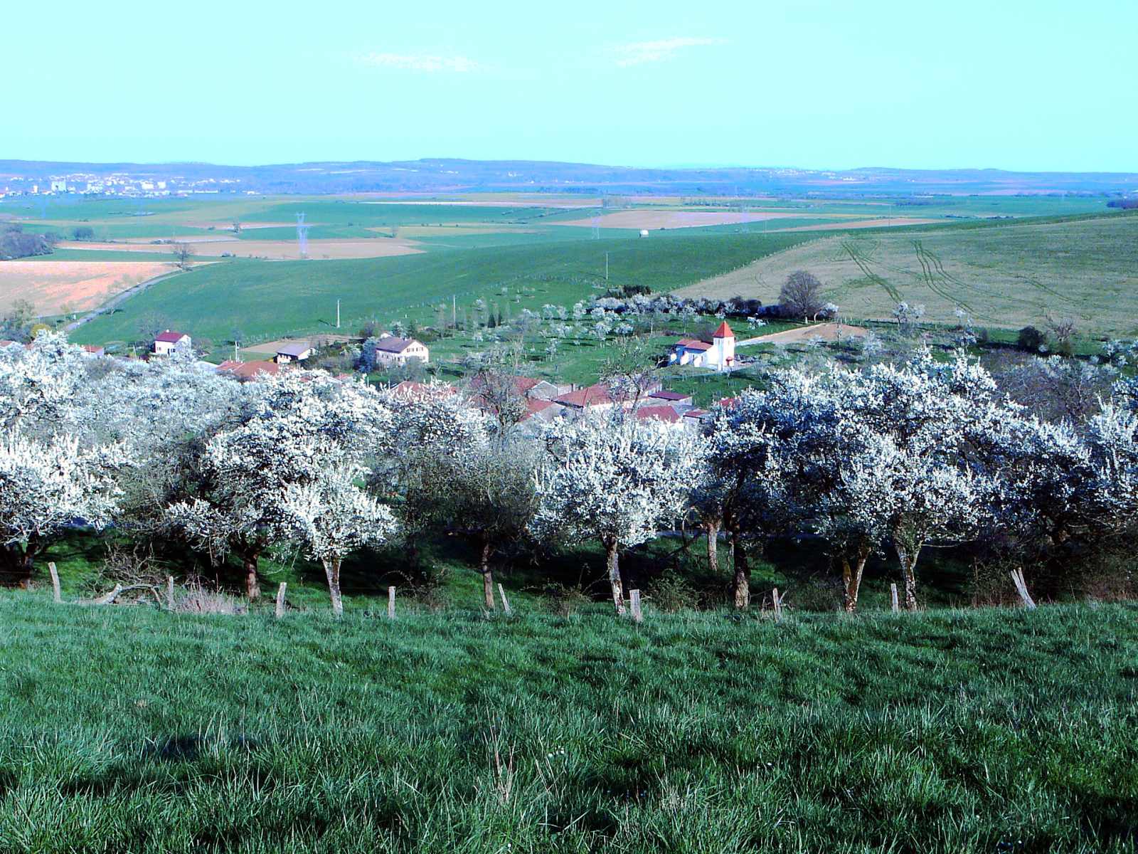 Photo de Marthemont