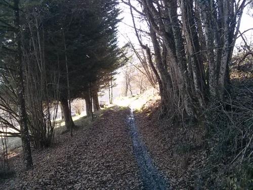Photo de Massingy