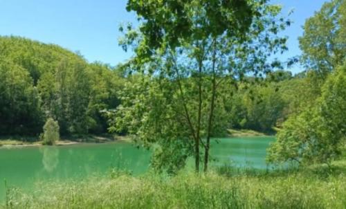 Photo de Massoulès