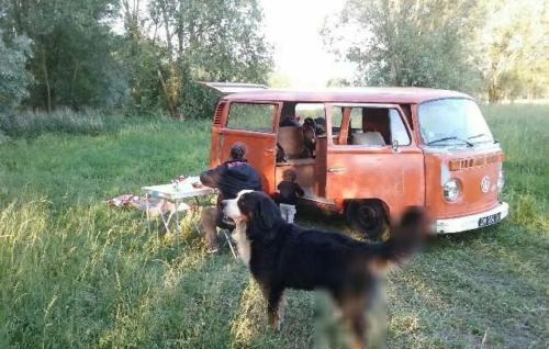 Photo de Mayot