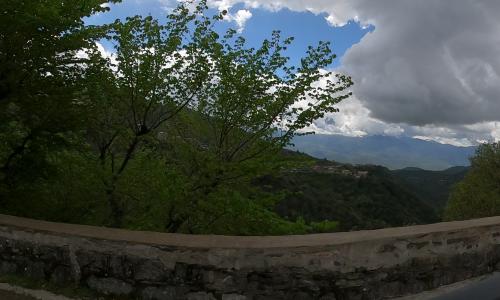 Photo de Mazzola
