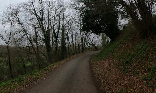 Photo de Mesterrieux