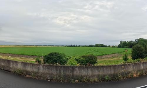 Photo de Mignerette