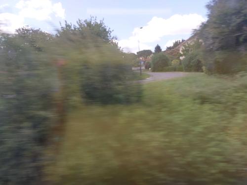 Photo de Mimbaste
