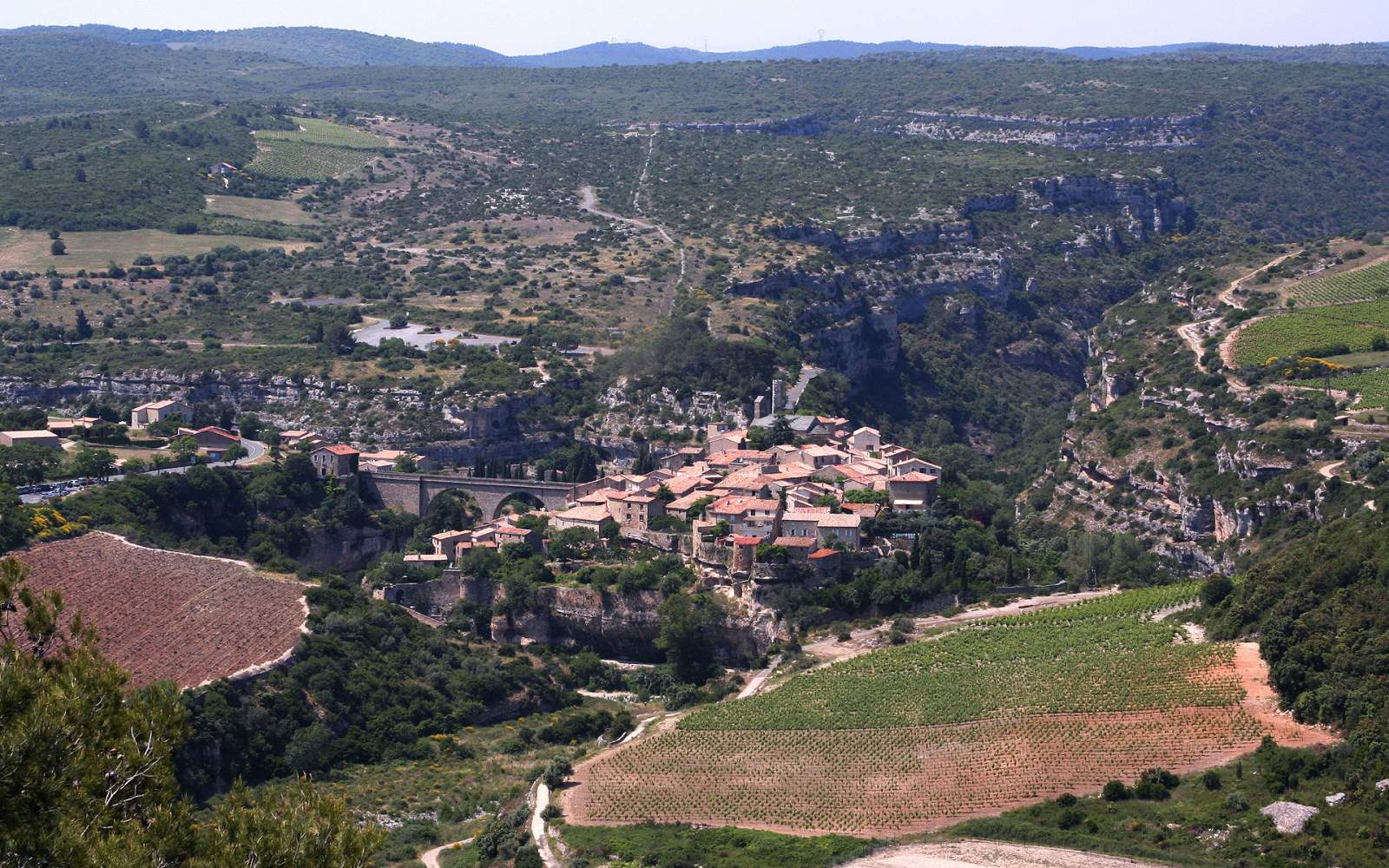 Photo de Minerve