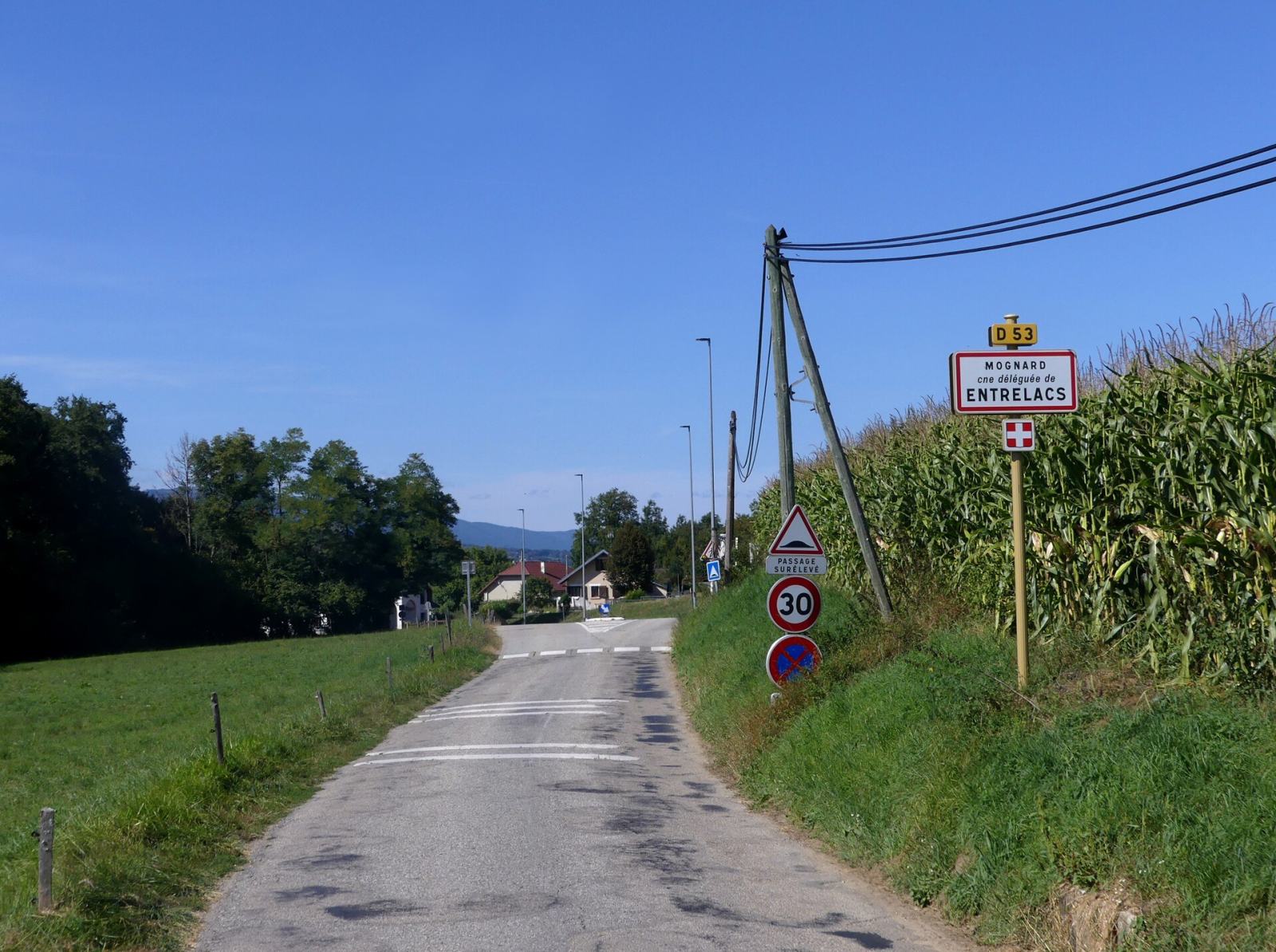 Photo de Mognard