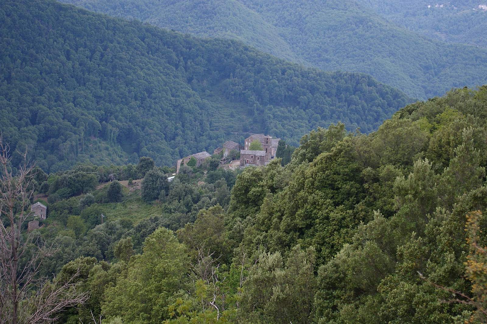 Photo de Monacia-d'Orezza
