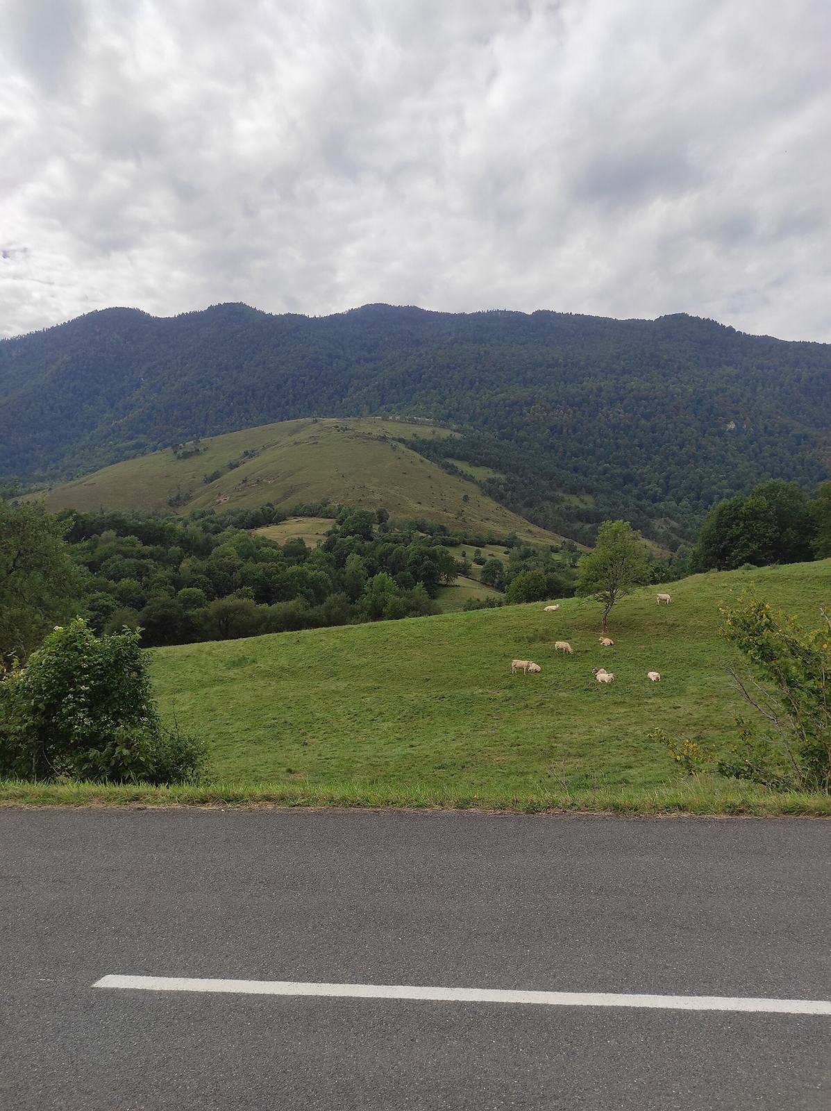 Photo de Moncaup