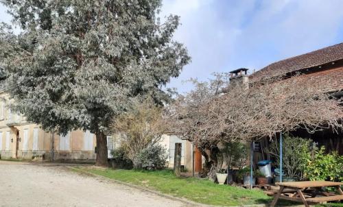 Photo de Monprimblanc