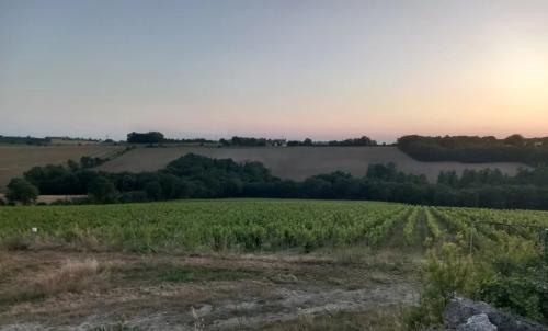 Photo de Montagnac-sur-Auvignon