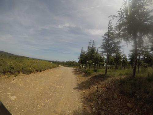 Photo de Montauriol