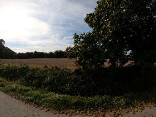 Photo de Monterrein