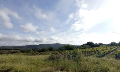 Photo de Montesquieu